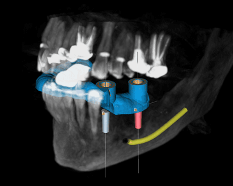 Oral Radiologists Logo